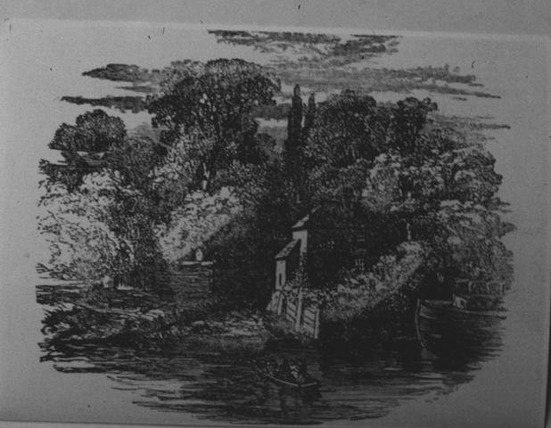 Could this be the River Crane outflow